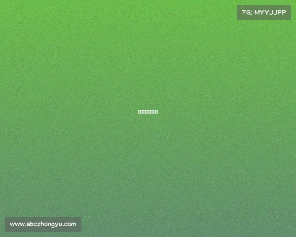 赛事公司组织架构